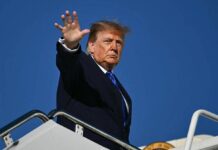 Ucraina, Musk riaccende Starlink: ordine di Trump. Europa cerca un negoziatore per trattare con Putin