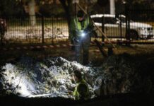 Ucraina, in vigore la tregua a Oleshky. Missili russi su un ponte a Kiev