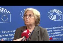 Ue-Cina: Annunziata (Pd), “Non c’è equilibrio. L’idea del centrosinistra è far scattare freni”