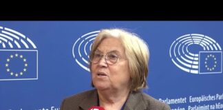 Ue-Cina, Annunziata (Pd): “Non c’è equilibrio. L’idea del centrosinistra è far scattare freni”