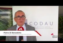 Università, Di Benedetto (CoDAU): “”Ogni università può dare il proprio contributo””
