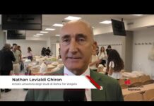 Università: Levialdi Ghiron (Roma Tor Vergata), ‘tirocinio al Gregorio VII completa nostra offerta