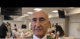 Università: Levialdi Ghiron (Roma Tor Vergata), ‘tirocinio al Gregorio VII completa nostra offerta