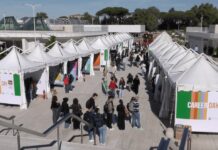 Università, oggi a Tor Vergata la 19ma edizione del Career Day