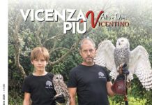 VicenzaPiù n. 311: dai rapaci di Villa dei Gufi e non solo, a chi ama le comunità vicentine: narrazioni e confronti, sulle pagine e a Spazio Aperto VicenzaPiù n. 311, ottobre 2026