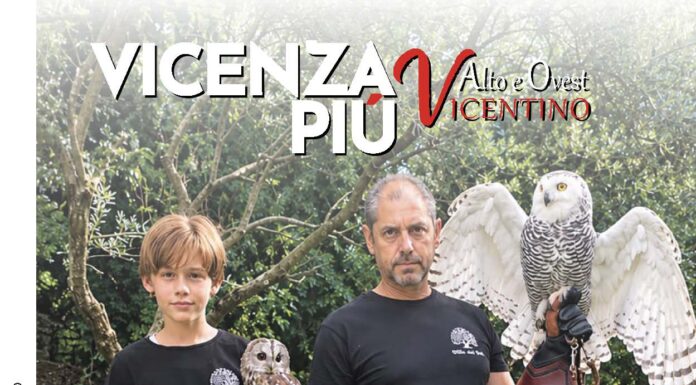 VicenzaPiù n. 311: dai rapaci di Villa dei Gufi e non solo, a chi ama le comunità vicentine: narrazioni e confronti, sulle pagine e a Spazio Aperto VicenzaPiù n. 311, ottobre 2026