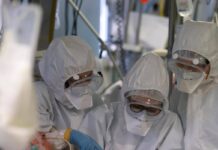 Virus Shamonda, “no casi umani in Italia, attenzione rafforzata”: la circolare del ministero dell a Salute