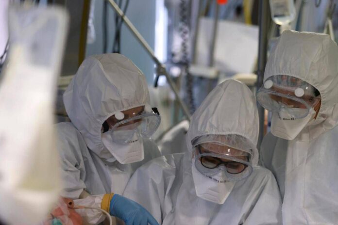 Virus Shamonda, “no casi umani in Italia, attenzione rafforzata”: la circolare del ministero dell a Salute