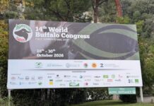 ‘World Buffalo Congress’ road map per futuro con meno burocrazia e più innovazione