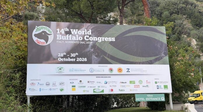‘World Buffalo Congress’ road map per futuro con meno burocrazia e più innovazione