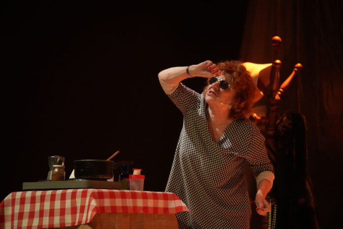 Alda Merini a Valeggio sul Mincio Alda Merini a Valeggio sul Mincio