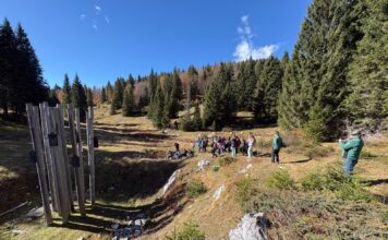 Asiago, sessanta studenti con gli Alpini di Campedello lungo il Sentiero del Silenzio Studenti al Sentiero del Silenzio accompagnati dagli Alpini di Campedello