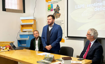 Monte Grappa, le api diventano sentinelle ambientali in un progetto tra 24 Comuni Api sentinelle ambientali del Monte Grappa, presentazione del progetto con arnie e prodotti degli apicoltori