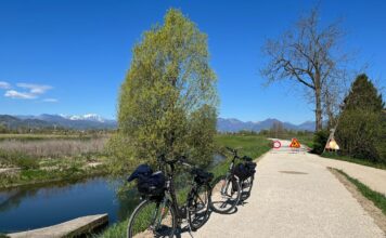 Ciclabile del Bacchiglione, passerella su viale Diaz per collegare Vicenza al Parco Ciclabile del Bacchiglione tra Vicenza e il territorio a nord della città