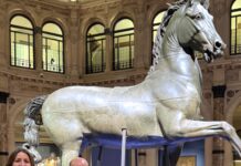 Il Cavallo colossale di Canova torna a Bassano: dal 12 dicembre sarà al Museo civico Cavallo colossale di Canova a Bassano con Nicola Finco, Giada Pontarollo ed Elena Guidi