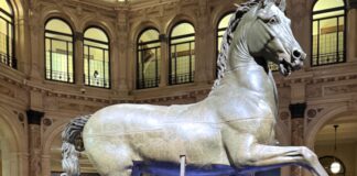 Il Cavallo colossale di Canova torna a Bassano: dal 12 dicembre sarà al Museo civico Cavallo colossale di Canova a Bassano con Nicola Finco, Giada Pontarollo ed Elena Guidi