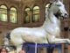 Il Cavallo colossale di Canova torna a Bassano: dal 12 dicembre sarà al Museo civico Cavallo colossale di Canova a Bassano con Nicola Finco, Giada Pontarollo ed Elena Guidi