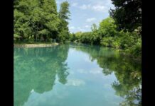 Cammina Natura in Veneto, nove escursioni gratuite il 24 e 25 ottobre: tappa anche a Bassano Cammina Natura in Veneto, paesaggio fluviale neutro senza persone riconoscibili