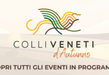 Colli Veneti d’Autunno, a Longare un viaggio nei ventidotti storici vicentini di Costozza Colli Veneti d’Autunno, grafica della rassegna regionale