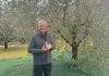 Ernesto Gazzola compie 94 anni: da Coste di Maser una storia d’impresa lunga oltre sessant’anni Ernesto Gazzola, fondatore e Presidente di Gaerne