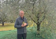 Ernesto Gazzola compie 94 anni: da Coste di Maser una storia d’impresa lunga oltre sessant’anni Ernesto Gazzola, fondatore e Presidente di Gaerne