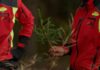 Forest a Noventa Vicentina racconta lavoro nei boschi, Vaia e gestione sostenibile Forest a Noventa Vicentina, operatori forestali nei boschi dell'Altopiano