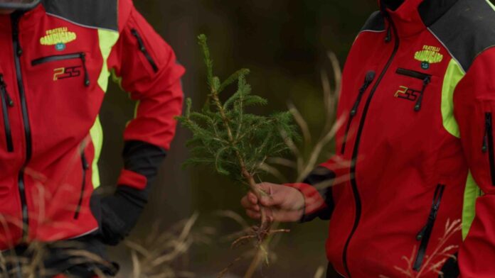 Forest a Noventa Vicentina racconta lavoro nei boschi, Vaia e gestione sostenibile Forest a Noventa Vicentina, operatori forestali nei boschi dell'Altopiano