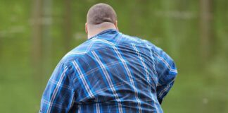 GLP-1 naturale, fibre e sazietà: cosa dice la ricerca scientifica sul controllo del peso GLP-1 naturale e controllo del peso, immagine neutra dedicata all’obesità
