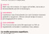Parcheggi rosa a Vicenza, Idea Vicenza replica: «Gli stalli esistono già dal 2007» parcheggi rosa a Vicenza