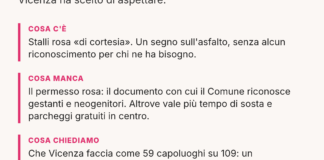 Parcheggi rosa a Vicenza, Idea Vicenza replica: «Gli stalli esistono già dal 2007» parcheggi rosa a Vicenza
