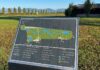 Parco della Pace di Vicenza, cinque nuovi progetti tra sport, inclusione e servizi Parco della Pace