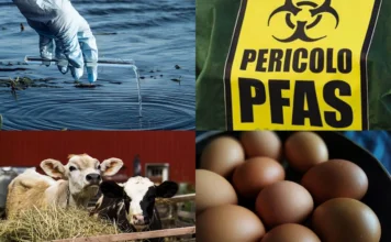 PFAS nella polvere dei balconi, analisi indipendenti a Legnago e Nuvolera: chiesti controlli PFAS nella polvere