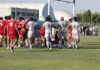 Coppa Italia, Rangers Vicenza vince 40-28 a Padova contro il Petrarca e resta in vetta Rangers Vicenza vince 40-28