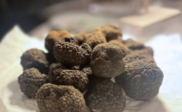 Recantina e Tartufo del Grappa, sei chef protagonisti della serata di Montebelluna Recantina e Tartufo del Grappa, tartufi neri destinati alle preparazioni degli chef