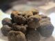 Recantina e Tartufo del Grappa, sei chef protagonisti della serata di Montebelluna Recantina e Tartufo del Grappa, tartufi neri destinati alle preparazioni degli chef