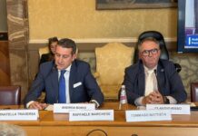 Sicurezza dei trattori, Federacma: «Oltre 130 morti l’anno, serve un piano strutturale» sicurezza dei trattori