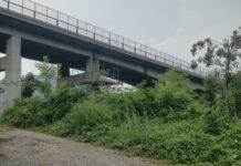 Ponte Rivarotta, Pedemontana gratis durante i lavori: i pedaggi li paga la Provincia Pedemontana gratis per Ponte Rivarotta