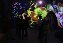 VIMM, oltre 20 mila visitatori per la mostra che ha unito arte e ricerca a Padova Mostra del VIMM a Padova, allestimento tra arte e ricerca