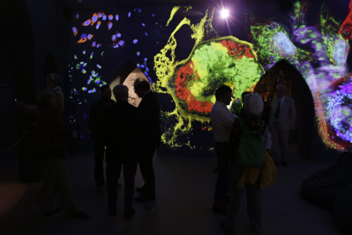 VIMM, oltre 20 mila visitatori per la mostra che ha unito arte e ricerca a Padova Mostra del VIMM a Padova, allestimento tra arte e ricerca