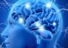 Alzheimer, al Centro Servizi Muzan di Malo il teatro diventa linguaggio della memoria Teatro per le persone con Alzheimer al Centro Servizi Muzan di Malo