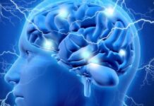 Alzheimer, al Centro Servizi Muzan di Malo il teatro diventa linguaggio della memoria Teatro per le persone con Alzheimer al Centro Servizi Muzan di Malo