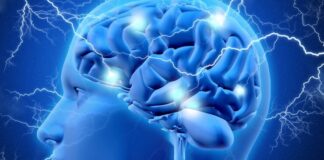 Alzheimer, al Centro Servizi Muzan di Malo il teatro diventa linguaggio della memoria Teatro per le persone con Alzheimer al Centro Servizi Muzan di Malo