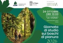Boschi di pianura, a Vicenza una giornata di studio per riportarli all’1% entro il 2050 Boschi di pianura a Vicenza, locandina della giornata di studio alla Biblioteca La Vigna