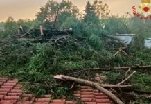 Vicenza, nuovo servizio SMS di allarme per le emergenze idrauliche: lunedì la presentazione Servizio SMS di allarme a Vicenza per le emergenze idrauliche