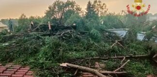 Vicenza, nuovo servizio SMS di allarme per le emergenze idrauliche: lunedì la presentazione Servizio SMS di allarme a Vicenza per le emergenze idrauliche