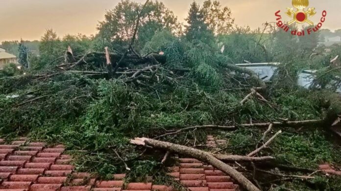 Servizio SMS di allarme a Vicenza per le emergenze idrauliche