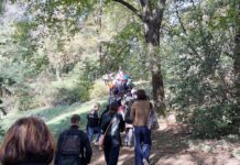 Schio, gli studenti raccontano gli alberi della Valletta con nuovi cartelli informativi alberi della Valletta a Schio