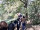 Schio, gli studenti raccontano gli alberi della Valletta con nuovi cartelli informativi alberi della Valletta a Schio