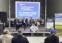Agroindustria in Basilicata, UGL chiede investimenti e lavoro stabile nel Metapontino Agroindustria in Basilicata, convegno Coltiviamo l’Italia a Policoro