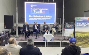 Agroindustria in Basilicata, UGL chiede investimenti e lavoro stabile nel Metapontino Agroindustria in Basilicata, convegno Coltiviamo l’Italia a Policoro